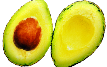 12 benefits to eat avocado for good health